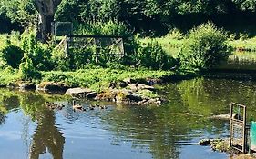 Le refuge des canards